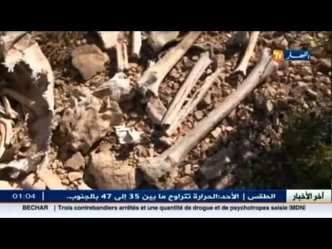 تبسة.. جماجم و هياكل عظمية مرمية في العراء