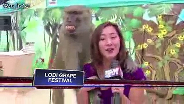 Funny videos Try Not to Laugh or Grin While Watching This HARDEST VERSION IMPOSSIBLE CHALLENGE