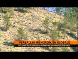 Pyllëzime për të shmangur përmbytjen dhe rrëshqitjtet e tokës - Top Channel Albania - News - Lajme
