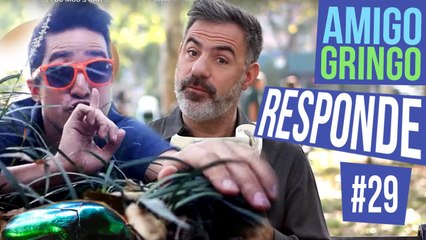 POR QUE FUTEBOL AMERICANO CHAMA "FOOTBALL" SE NÃO É COM OS PÉS?