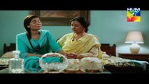 Mera Dard Na Jany Koi Episode 24 Full HUM TV Drama 24 Nov 2015