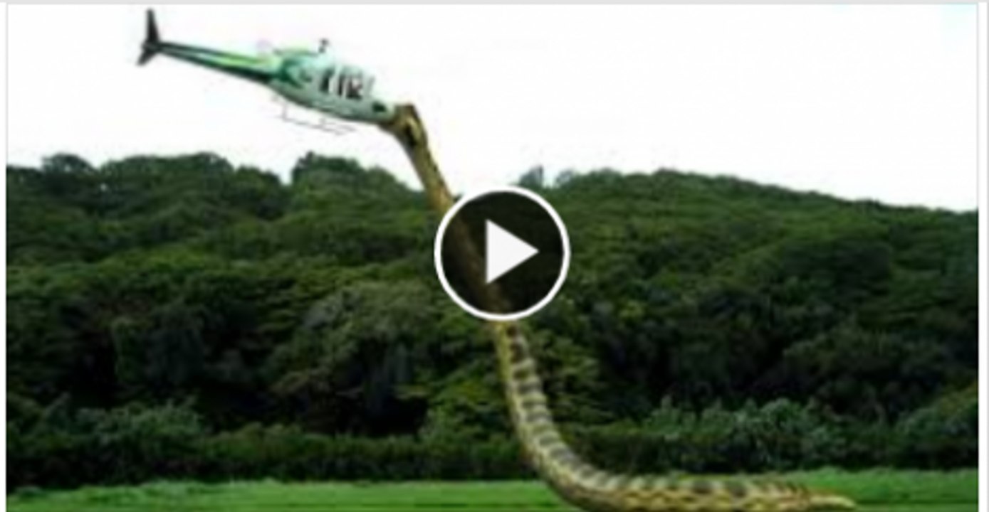 piranhaconda trailer