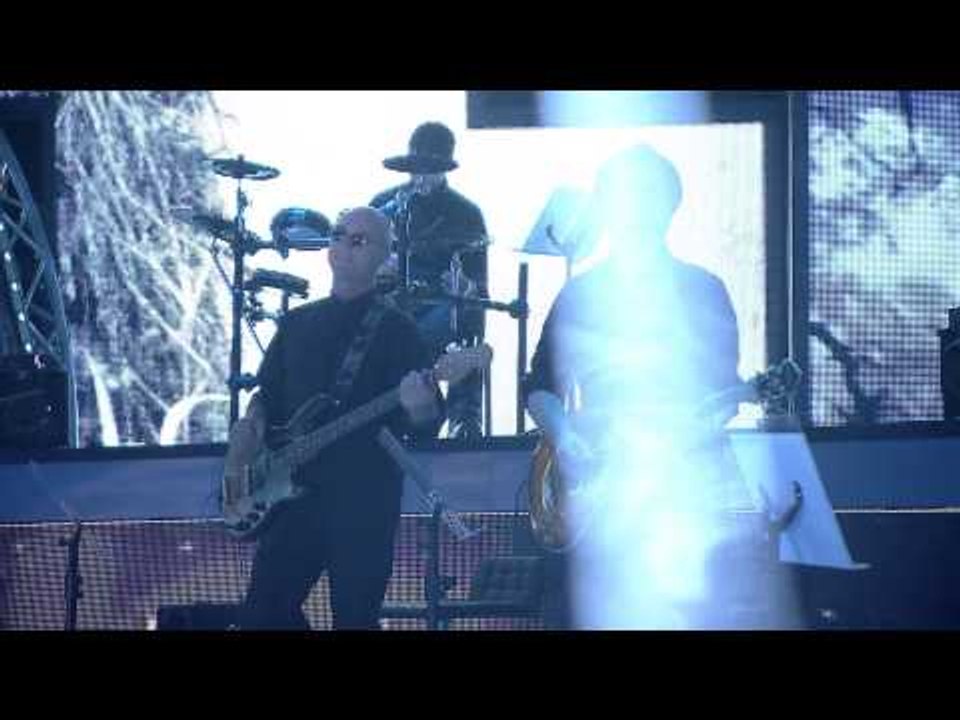 Gjeniu i vogel 6 - Kejsi - "Ragazza occhi cielo" (nata 8)