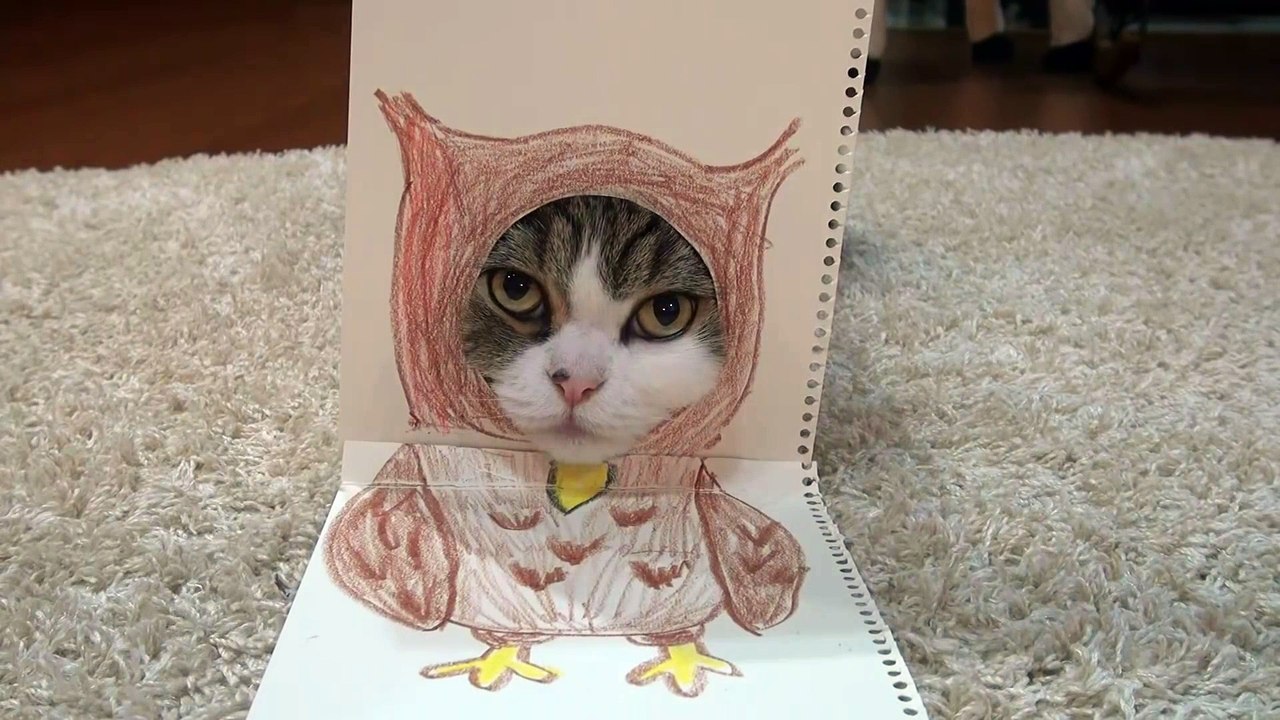 Animal costume and Maru.-