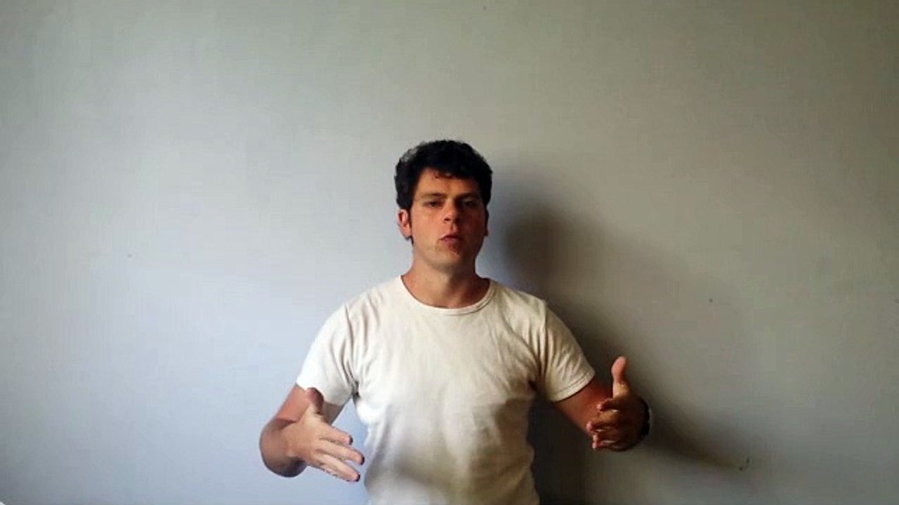 What To Do If My Dog Just Stops During Out Walks - Dog Walkers Newcastle NSW