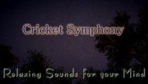 NATURE SOUNDS for Relaxing, Meditation & Sleep. Night Time Cricket Sounds