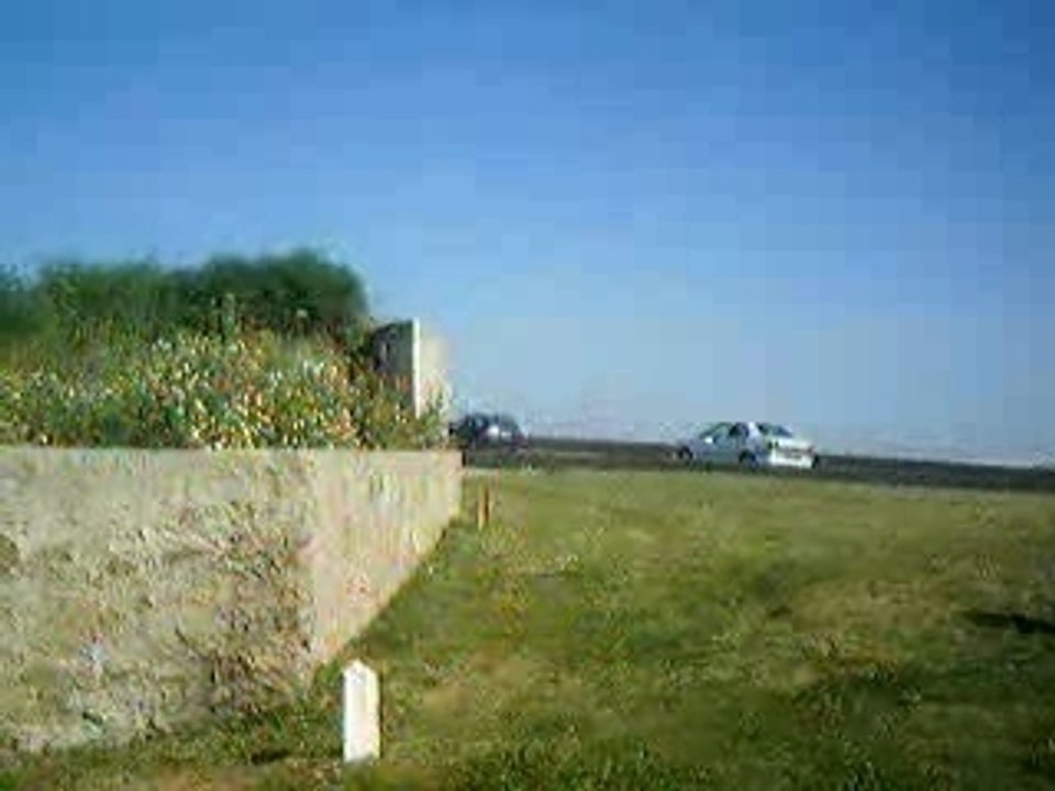 Puxe, oicha sampler trickz