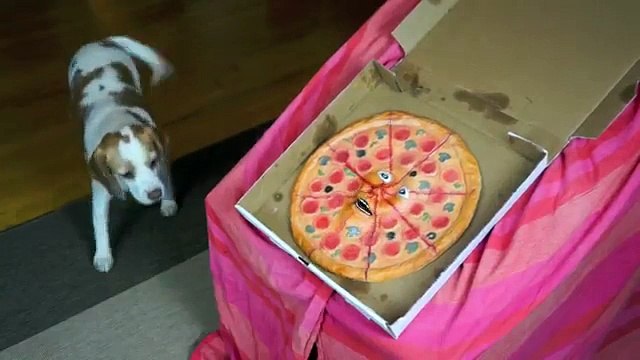 Dogs vs. Talking Pizza Prank- Funny Dogs Maymo & Penny