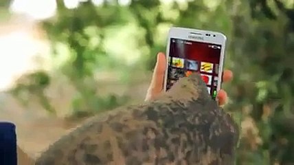 Amazing Video Elephant With SamSung Mobile Phone - Latest Whatsapp Video