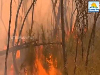 ZJARREFIKESIT AUSTRALIANE VIJOJNE LUFTEN ME FLAKET NE SHTETIN E ADELAIDES LAJM