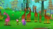 Finger Family Giraffe - ChuChu TV Animal Finger Family Nursery Rhymes Songs For Children