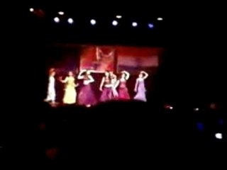 Representation 2: Des Rangila - FANAA