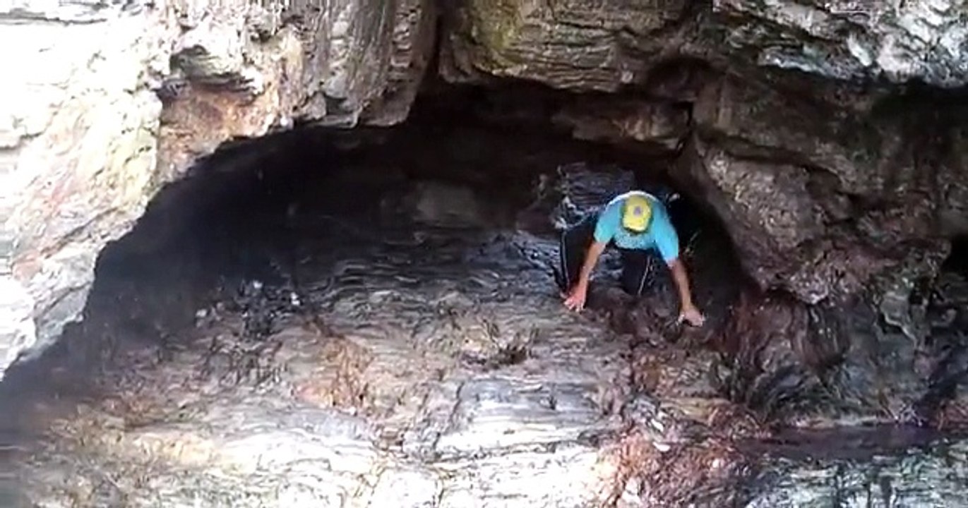 böcek yuvasını bozan adam