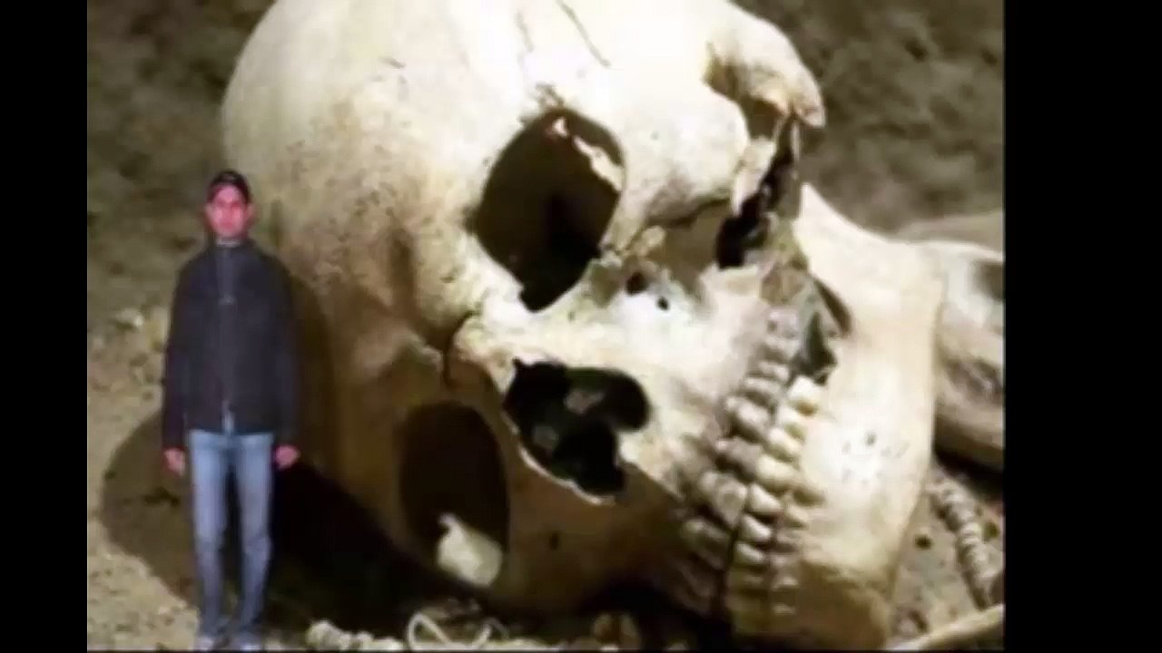 what you think about this,isthis real or fake