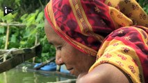 Au Bangladesh, les paysans cherchent à s'adapter au réchauffement climatique