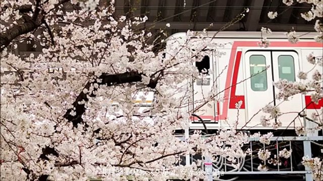 平井堅 / 特異獨行 feat.安室奈美惠 Ken Hirai Grotesque feat. Namie Amuro