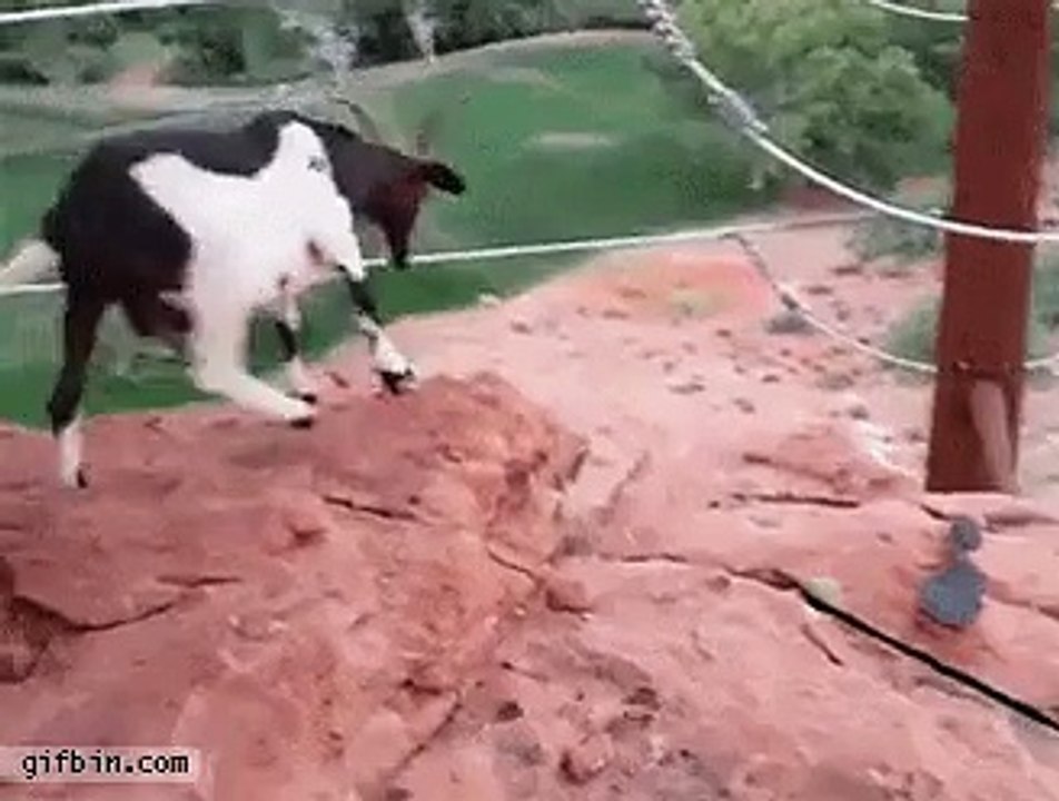 포커바둑이へ 「〃ZVZV9.COM〃」VEGASBET