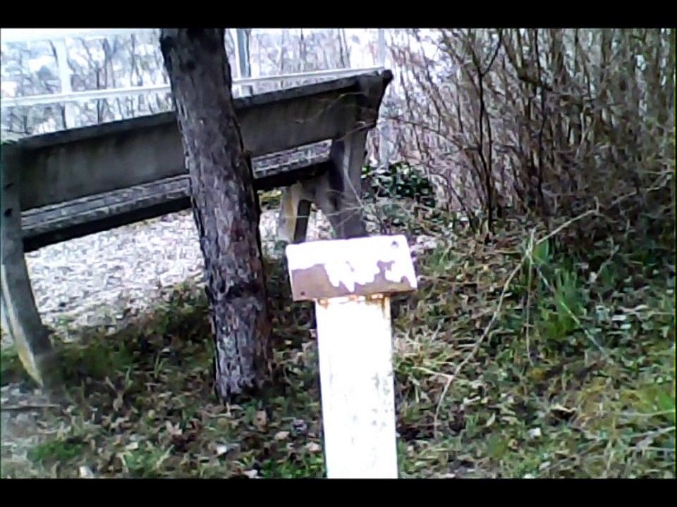 Mon filjournée du 27 11 2015