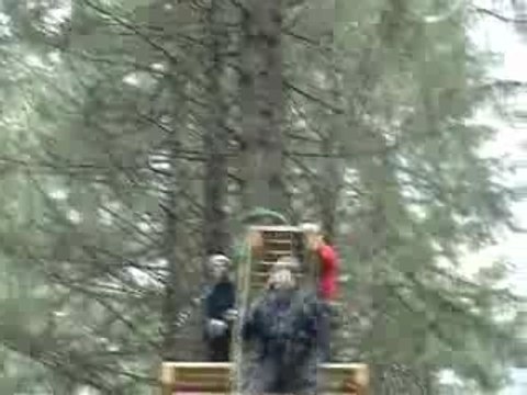 Flying Fox Saut de lange