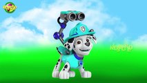 Cartoon Bingo Dog Finger Family Rhymes | Kids World Animated Finger Family Rhymes |