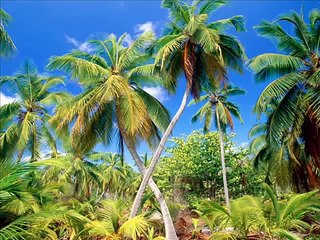 ايمان البحر درويش دار الزمان بينا