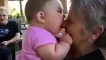 Büyük Annesinin Burnunu Yemeye Çalışan Bebek