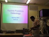 Equine Thoracic Limb Osteology Lecture - 2