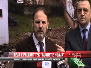 Leja e pallatit tek “Gjuhët e Huaja” - News, Lajme - Vizion Plus