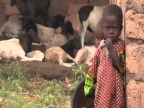 RAUL CASTRO KERKON NGA SHBA QE TI RIKTHEJE BAZEN USHTARAKE TE GUANTANAMOS LAJM