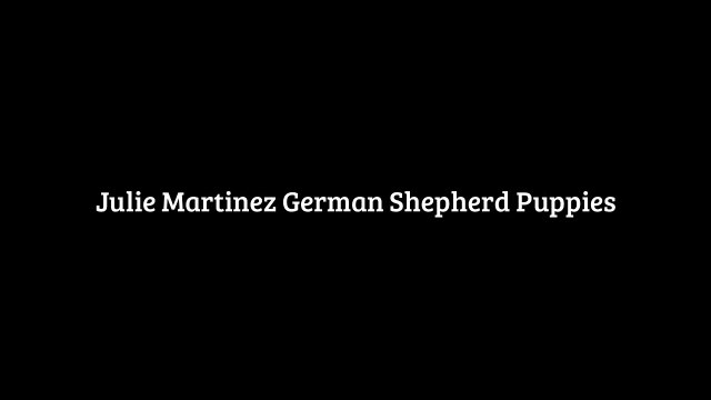 Mittelwest | Julie Martinez German Shepherd Puppies