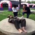 Funny videos Don't Mess with The Bull People fails bull fighting Stupid people doing stupid thing