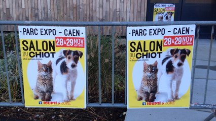 Salon des chiots et des chatons