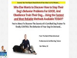 Brightdog's The Truths And Secrets Behind Dog Training