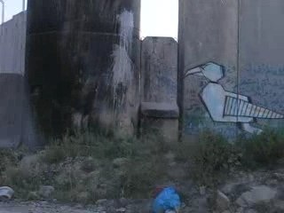 the Wall near el-ram,ramallah, west bank