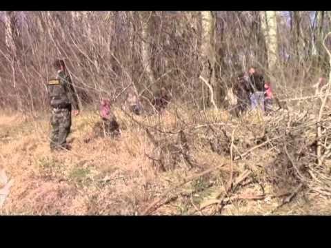 BIE FLUKSI I EMIGRANTEVE KOSOVARE QE KERKOJNE TE KALOJNE NE HUNGARI E ME PAS NE BE LAJM