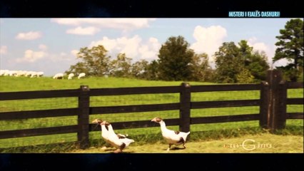 Enigma - Anijet fantazma e Misteri I fjales Dashuri