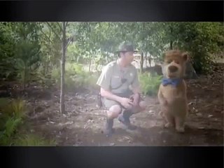 Yogi L ours ⒹⒺⓈⓈⒾⓃ ⒶⓃⒾⓂé ⒸⓄⓂⓅⓁⒺⓉ en francais ⓋⒾⒹéⓄ