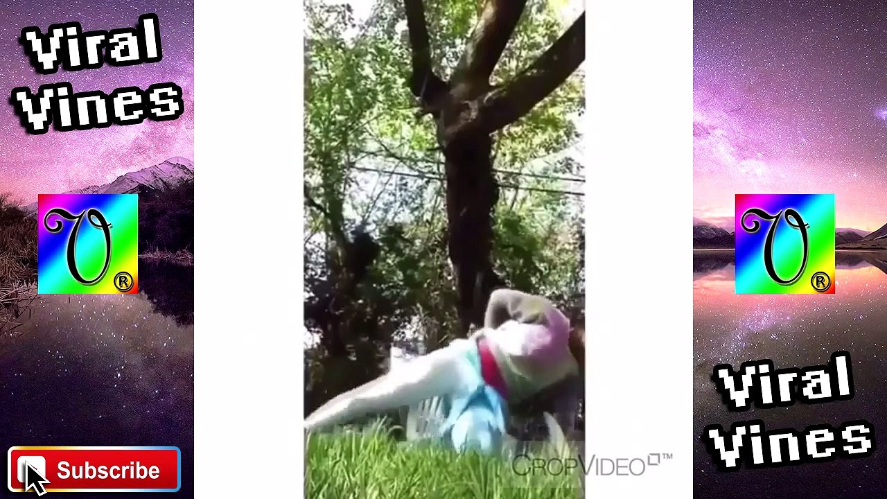 Arch That Back Challenge Vine Compilation