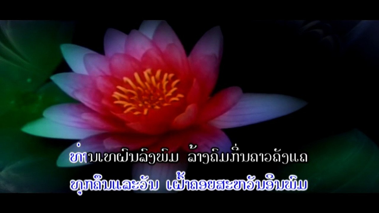 ເຊື້ອດອກບົວ:ດາຣາເພັດ Official