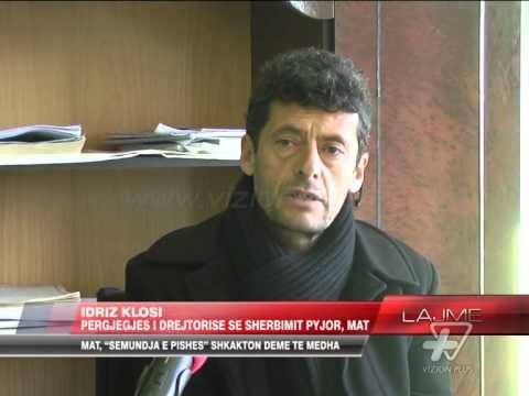 Mat, rrezikohen 4600 ha pyje pishe - News, Lajme - Vizion Plus