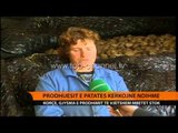 Prodhuesit e patates kërkojnë ndihmë - Top Channel Albania - News - Lajme
