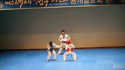 Funny Taekwondo Fight Videos