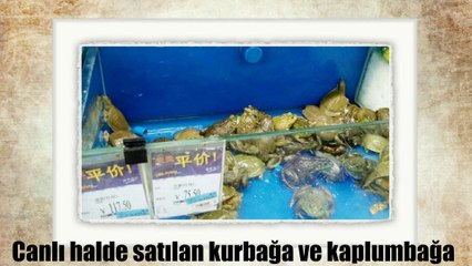 ÇİN'DEKİ MARKETLERDE SATILAN TUHAF ÜRÜNLER