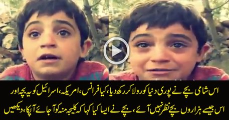 Syrian Bachy ny Rula dia