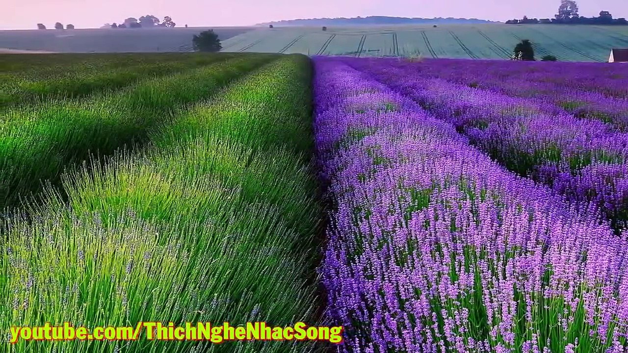 Liên khúc Nhạc sống Sôi Động Hay Nhất - Nhạc sống trữ tình Remix