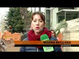 Dhuna ndaj grave, protestë në Gjykatë - Top Channel Albania - News - Lajme