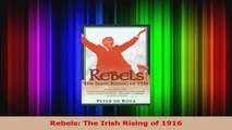 Read  Rebels The Irish Rising of 1916 PDF Free