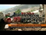 Kokëdhima: Drekë kolegësh me Doshin - Top Channel Albania - News - Lajme