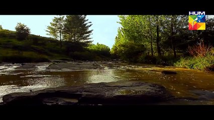 sana javed and sheroz subzwari upcoming hum tv drama promo 1