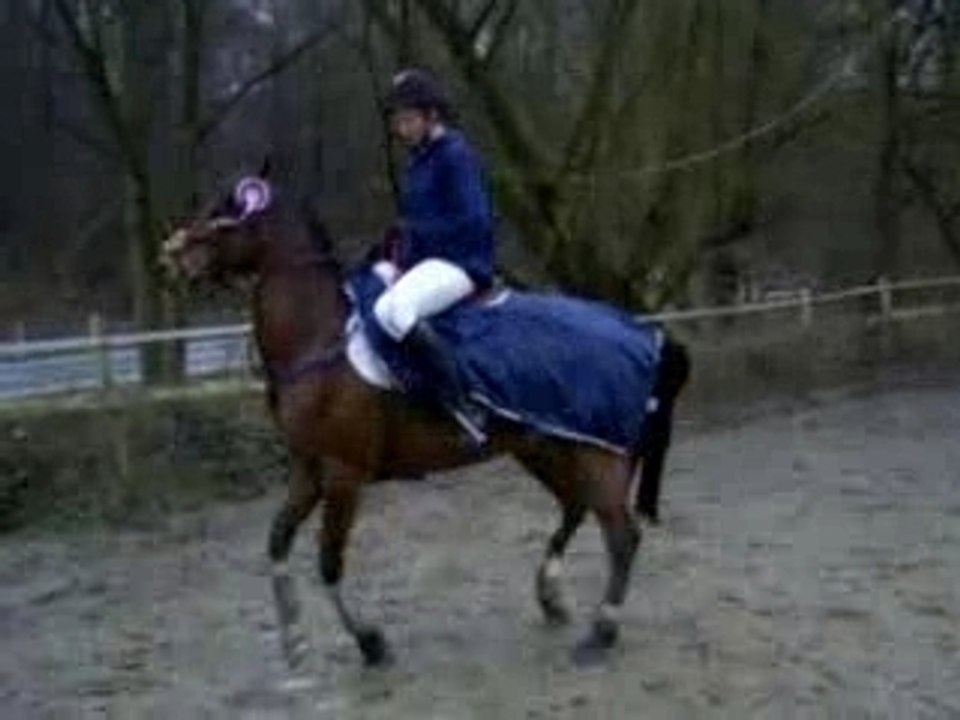 Tour d'honneur au Foreststables 24-02-07